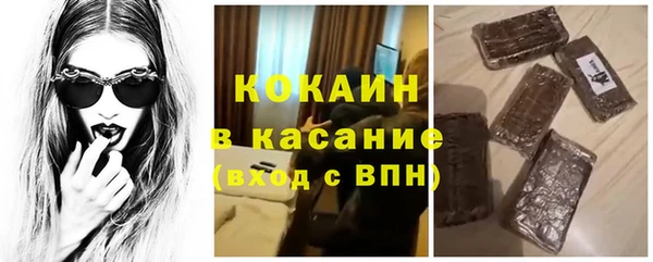сатива Осташков