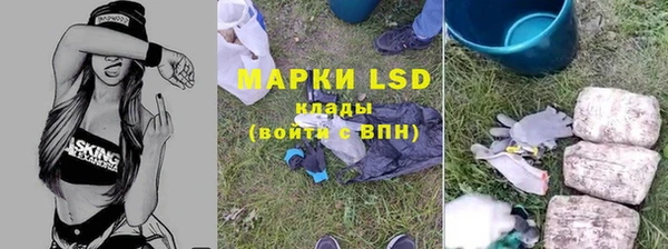 сатива Осташков