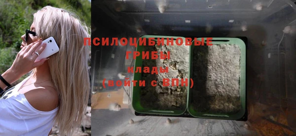 сатива Осташков