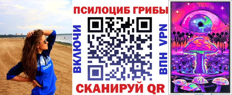 mega вход  Рыбинск  Галлюциногенные грибы Psilocybe  сколько стоит 