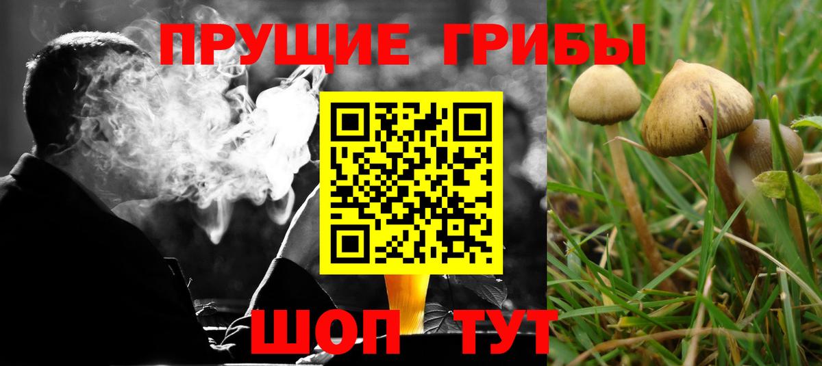 Псилоцибиновые грибы мухоморы  Вход с VPN  Галлюциногенные грибы GOLDEN TEACHER  купить наркотики сайты  Рыбинск 